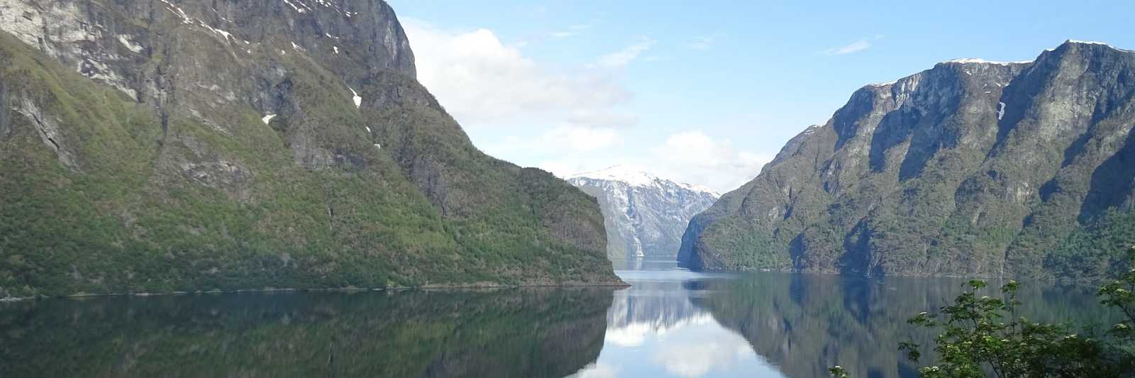 Naturbilde fra Sognefjorden