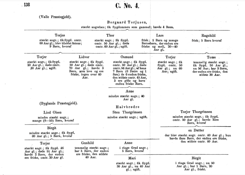 Bilde 3: Avskrift av Lunds kartlegging av familier med "Setesdalsrykkja", 1859/1860
