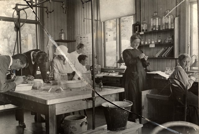 Bonnevie i laboratoriet ved den biologiske stasjonen i Drøbak 1918. Fotograf: ukjent. Universitetshistorisk fotobase, Museum for universitets- og vitenskapshistorie.