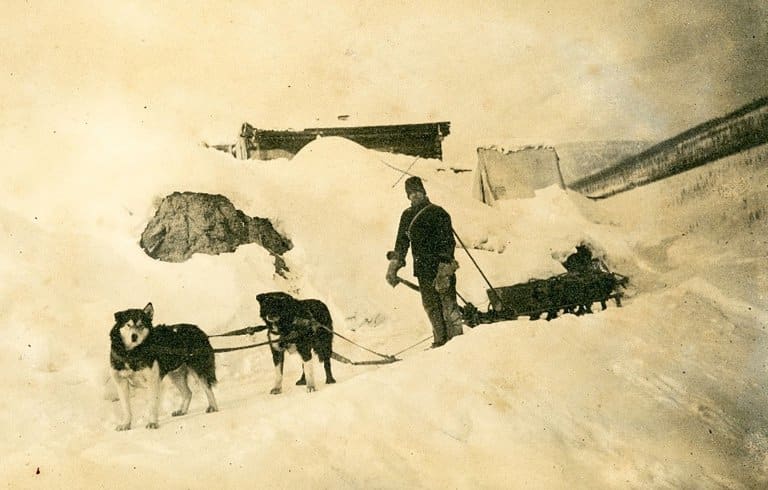 Dog team and sled used for transport on the Yukon River.
