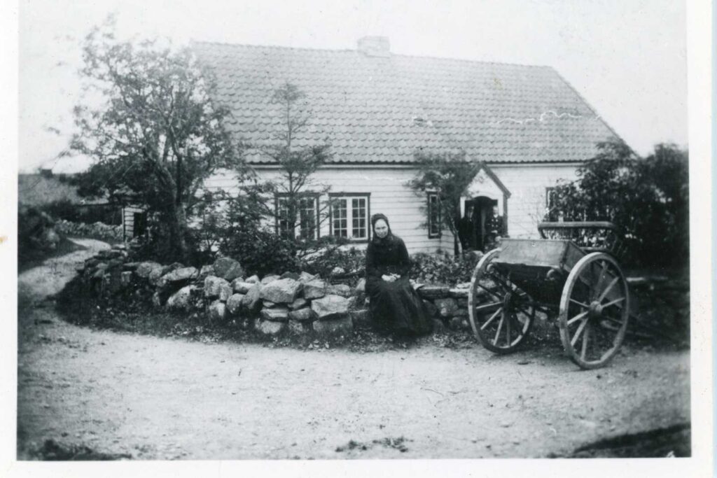 Ane Oline tilbake på Garborg, 1899.